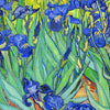 Puzzle PieceRelax - Vincent Van Gogh - Irises. 1008 piezas-Puzzle-Pintoo-Doctor Panush