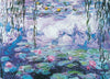 Nenúfares-Puzzle-Eurographics Puzzles Europe-Doctor Panush