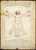 El Hombre de Vitruvio. Leonardo da Vinci-Puzzle-Eurographics Puzzles Europe-Doctor Panush