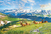 Alces de Montaña - Colorado - EE. UU.-Puzzle-Eurographics Puzzles Europe-Doctor Panush