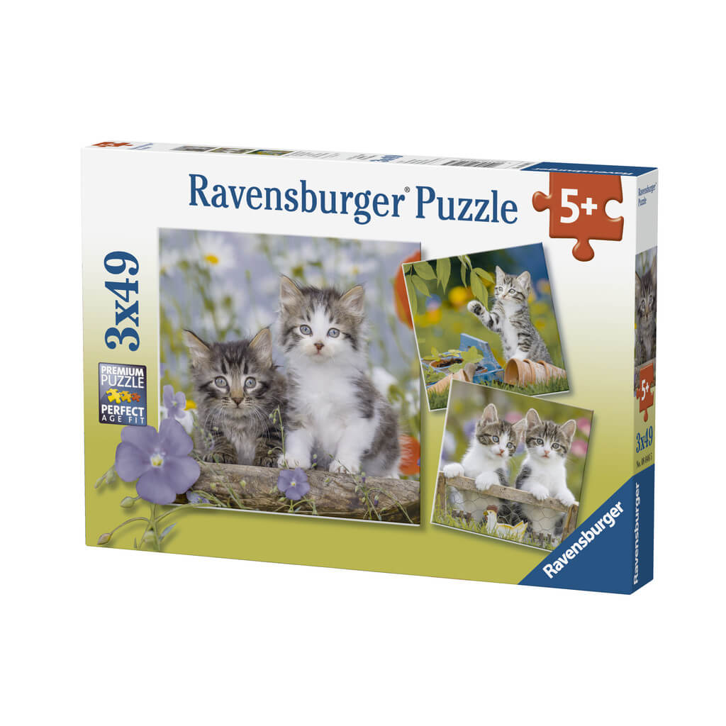Puzzle Ravensburger - Gatitos Atigrados 3x49-Doctor Panush