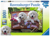 Puzzle Ravensburger 100 piezas - Merecido Descanso-Doctor Panush