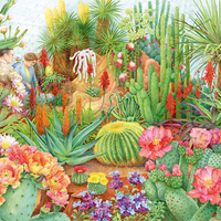 Puzzle Falcon - The Flower Show: Desert Plants. 1000 piezas-Puzzle-Falcon-Doctor Panush