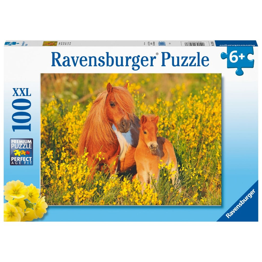 Puzzle Ravensburger - Pony Shetland. 100 piezas