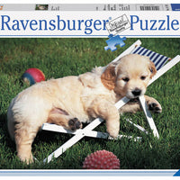 Puzzle Ravensburger - Golden Retriever 500 piezas-Doctor Panush