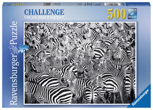 Puzzle Ravensburger - El Desafío de las Zebras 500 piezas-Doctor Panush