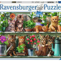 Puzzle Ravensburger - Gatos. 500 piezas-Ravensburger-Doctor Panush