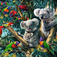 Puzzle Ravensburger - Koalas en el Árbol. 500 piezas-Ravensburger-Doctor Panush