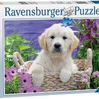 Puzzle Ravensburger - Dulce Golden Retriever. 500 piezas-Ravensburger-Doctor Panush