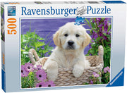 Puzzle Ravensburger - Dulce Golden Retriever. 500 piezas-Ravensburger-Doctor Panush