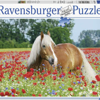 Puzzle Ravensburger - Caballo en un campo de amapolas. 500 piezas-Ravensburger-Doctor Panush