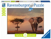 Puzzle Ravensburger - Elefante de los Masai Mata. 1000 piezas-Doctor Panush