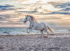 Puzzle Ravensburger - Caballo en la playa. 500 piezas-Doctor Panush