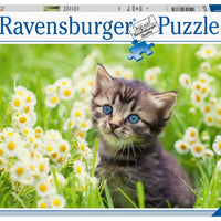 Puzzle Ravensburger - Gatito en el prado. 500 piezas