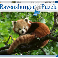 Puzzle Ravensburger - Panda Rojo. 500 piezas