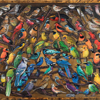 Puzzle Ravensburger - Arco iris de Pájaros. 1000 piezas-Puzzle-Ravensburger-Doctor Panush