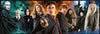 Puzzle Clementoni Harry Potter - 1000 piezas - Panorama Puzzle-Puzzle-Clementoni-Doctor Panush