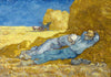 Puzzle Bluebird Puzzle - Vincent Van Gogh - La Siesta. 1000 piezas-Puzzle-Bluebird Puzzle-Doctor Panush