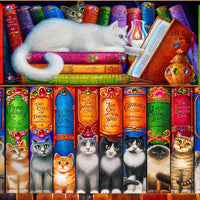 Cat Bookshelf-Puzzle-Bluebird Puzzle-Doctor Panush