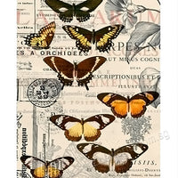 Puzzle Pintoo - Butterfly Pattern. 300 piezas