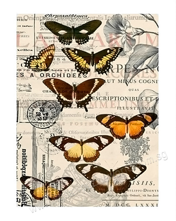 Puzzle Pintoo - Butterfly Pattern. 300 piezas