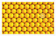 Puzzle Pintoo - Fruits - Orange. 1000 piezas-Puzzle-Pintoo-Doctor Panush