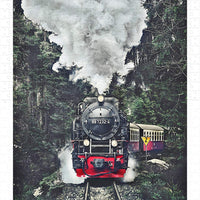 Puzzle Pintoo - The Steam Train, Switzerland. 600 piezas-Doctor Panush