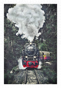 Puzzle Pintoo - The Steam Train, Switzerland. 600 piezas-Doctor Panush