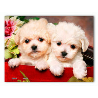 Puzzle Pintoo - XS - Puppies in gift box. 150 piezas-Doctor Panush