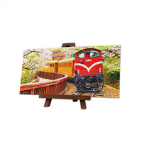 Puzzle Pintoo XS 253 - Forest Train in Alishan National Park-Doctor Panush