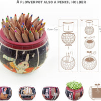 Puzzle Pintoo 3D  Flowerpot - Singing Birds and Flowers