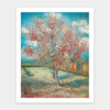 Puzzle Pintoo - Van Gogh - The Pink Peach Tree. 500 piezas