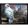 Puzzle Prime 3D Harry Potter - Hedwig 500 piezas