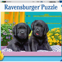 Puzzle Ravensburger 300 piezas - Vida de Perritos-Doctor Panush