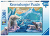 Puzzle Ravensburger - Reino del Oso Polar. 300 piezas-Doctor Panush