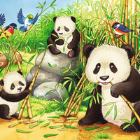 Puzzles Ravensburger - Koalas y Pandas. 2x24 piezas-Doctor Panush