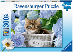 Puzzle Ravensburger 300 piezas - Gatito-Doctor Panush
