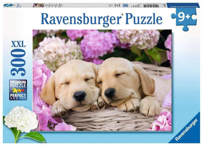 Puzzle Ravensburger 300 piezas - Cachorritos-Doctor Panush