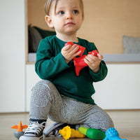 JUEGO Magnético - My First Dinosaurios-Doctor Panush