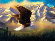 Puzzle SunsOut -Abraham Hunter - Flying High. 1000 piezas-Puzzle-SunsOut-Doctor Panush