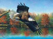 Puzzle SunsOut -Abraham Hunter - Wetlands Eagle. 1000 piezas-Puzzle-SunsOut-Doctor Panush