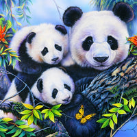 Puzzle Bluebird Puzzle - Panda Family. 100 piezas-Doctor Panush