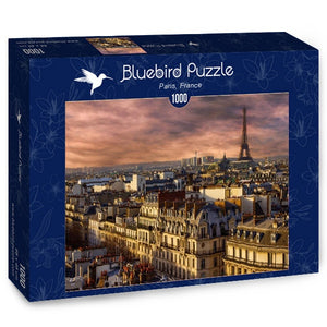 Puzzle Bluebird Puzzle - Paris, France. 1000 piezas-Puzzle-Bluebird Puzzle-Doctor Panush