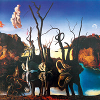 Puzzle Bluebird Puzzle - Dalí - Cisnes reflejando Elefantes. 1000 piezas-Puzzle-Bluebird Puzzle-Doctor Panush