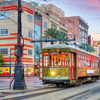 Puzzle Bluebird Puzzle - Tramway, New Orleans, USA. 1000 piezas-Puzzle-Bluebird Puzzle-Doctor Panush