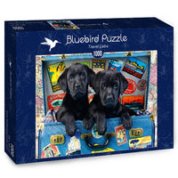 Puzzle Bluebird Puzzle - Travel Labs. 1000 piezas-Puzzle-Bluebird Puzzle-Doctor Panush