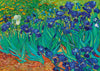 Puzzle Bluebird Puzzle - Vincent Van Gogh - Irises, 1889. 1000 piezas-Puzzle-Bluebird Puzzle-Doctor Panush