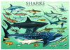 Puzzle Eurographics - Tiburones. 1000 piezas-Puzzle-Eurographics-Doctor Panush