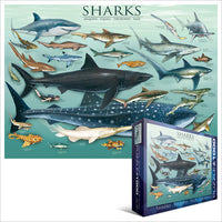 Puzzle Eurographics - Tiburones. 1000 piezas-Puzzle-Eurographics-Doctor Panush