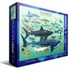 Puzzle Eurographics - Tiburones. 1000 piezas-Puzzle-Eurographics-Doctor Panush